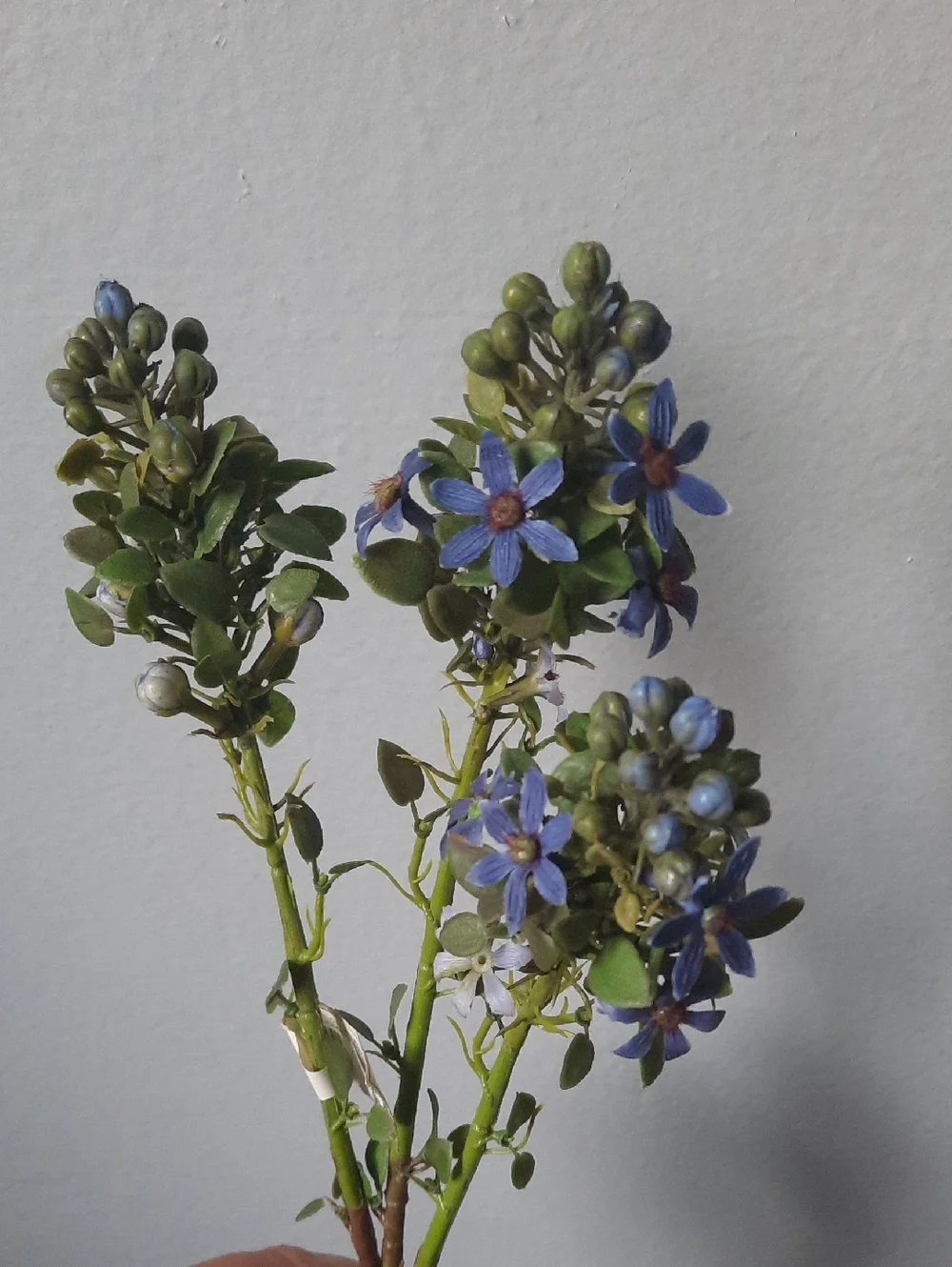 Blue Floral Cosmos Stems Set 7 NWT - Home Accents Silk Artificial Flowers Wired